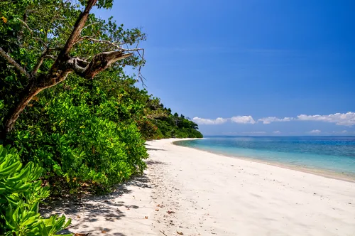 Elephant Beach-Havelock-Isole Andamane