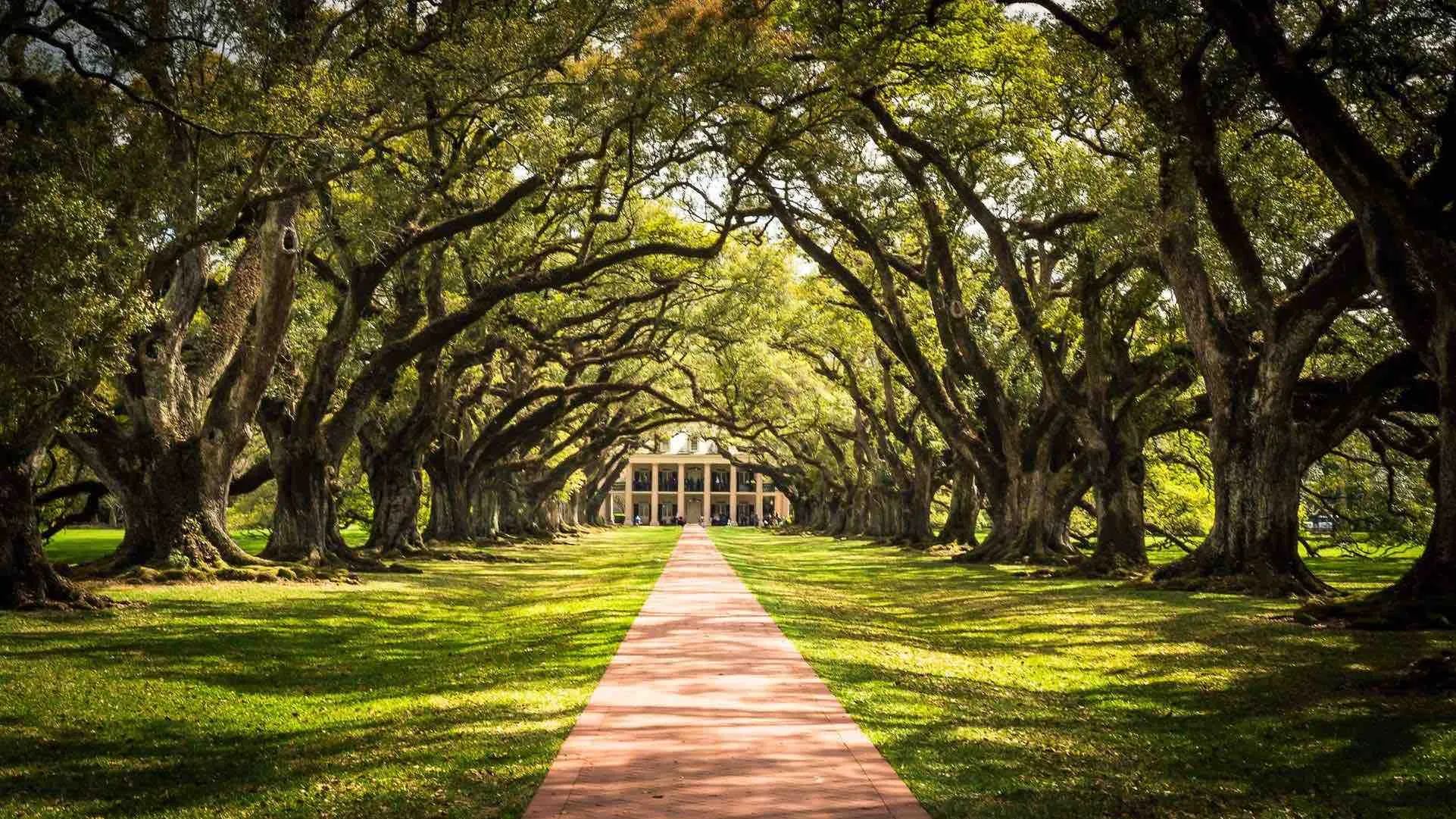 neworleans_longvuehouse_gardens.jpg