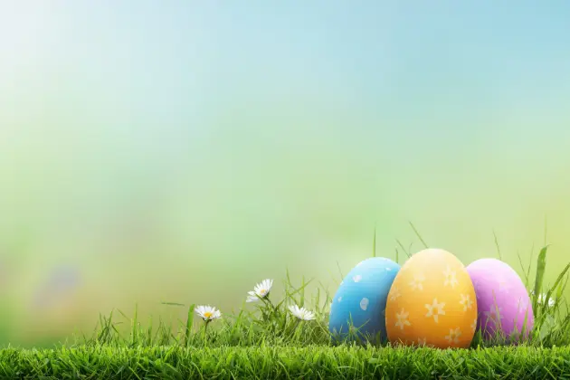 Uova Di Pasqua Al Sole