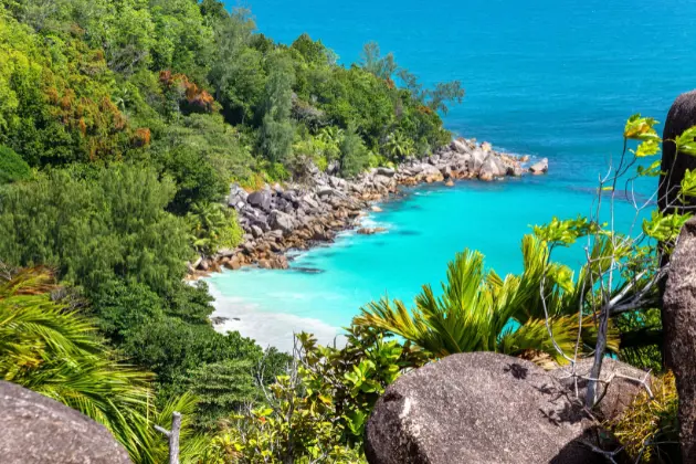 Seychelles Spiaggia Isola Di Praslin
