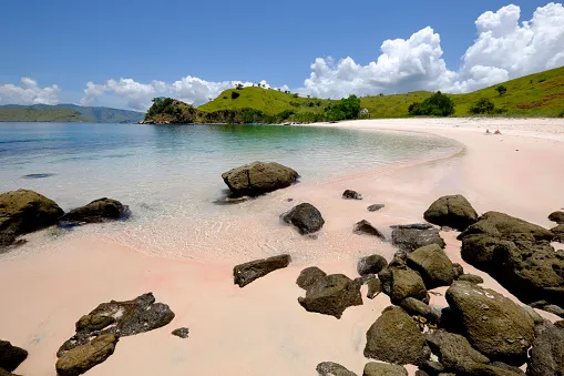 komodo-pink-beach.jpg (2)