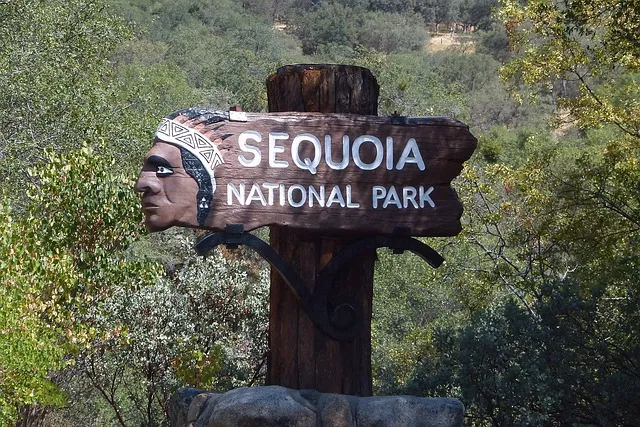 parco-nazionale-di-sequoia.jpg (1)