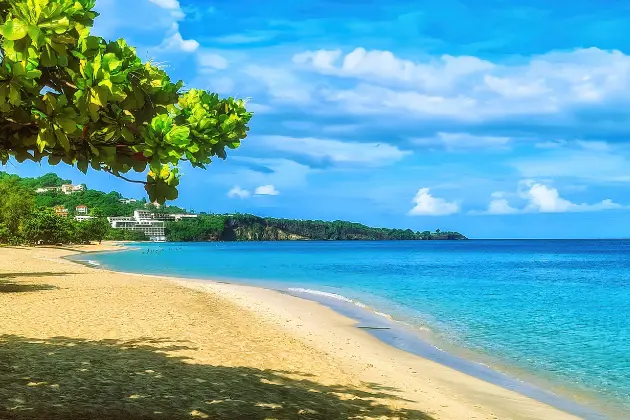 Isola Di Grenada Caraibi Spiaggia