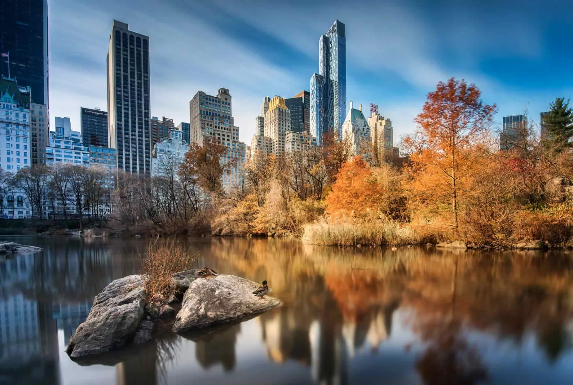 newyork_centralpark-min.jpg