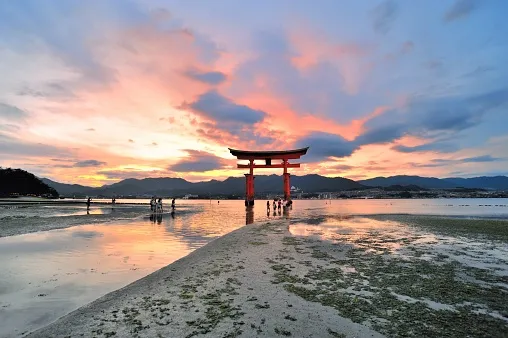 miyajima-a.jpg (1)