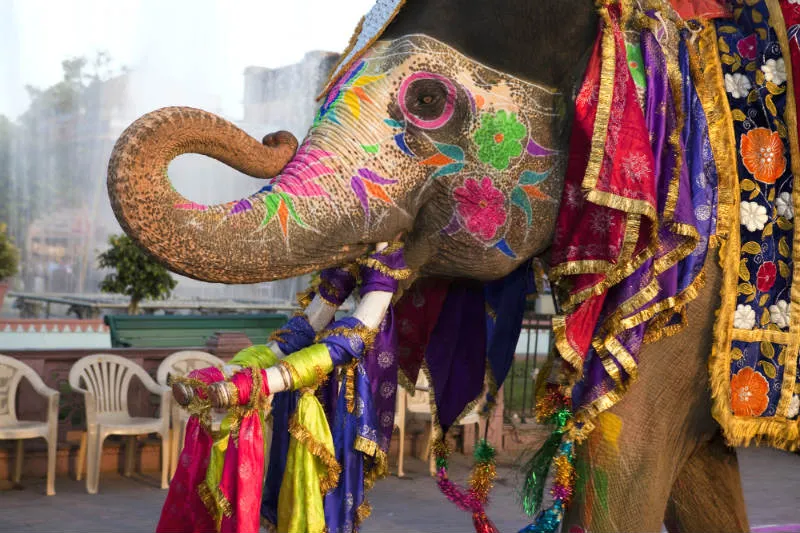 ganesh-chaturthi-il-più-incredibile-festival-dell-india.jpg (4)