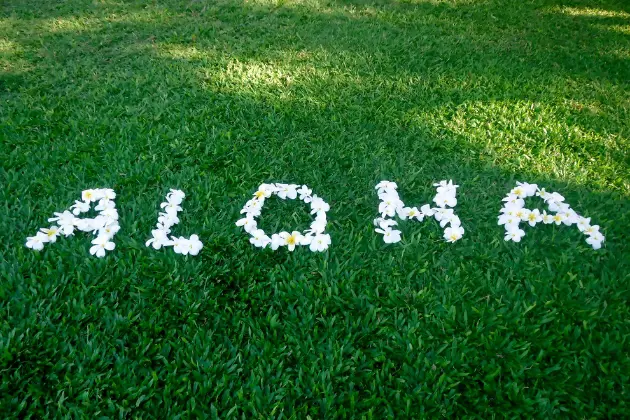 Aloha