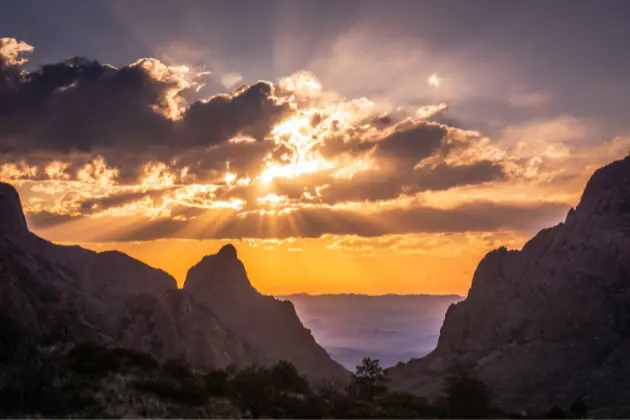 Alba A Big Bend National Park