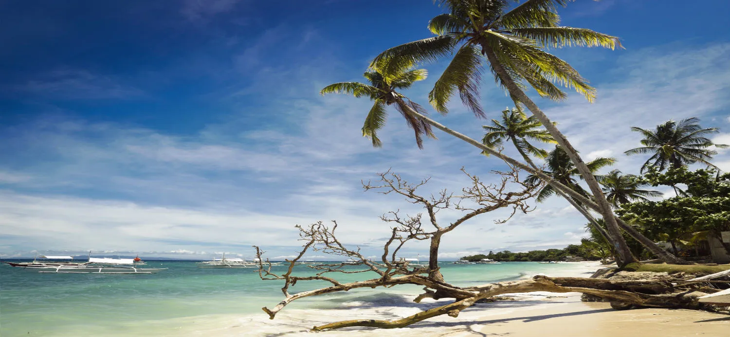 spiaggia-di-panglao.jpg (1)