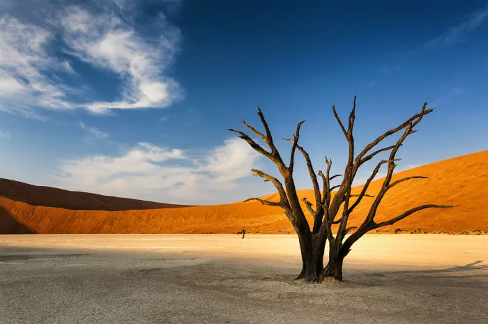 Sossusvlei - Namibia