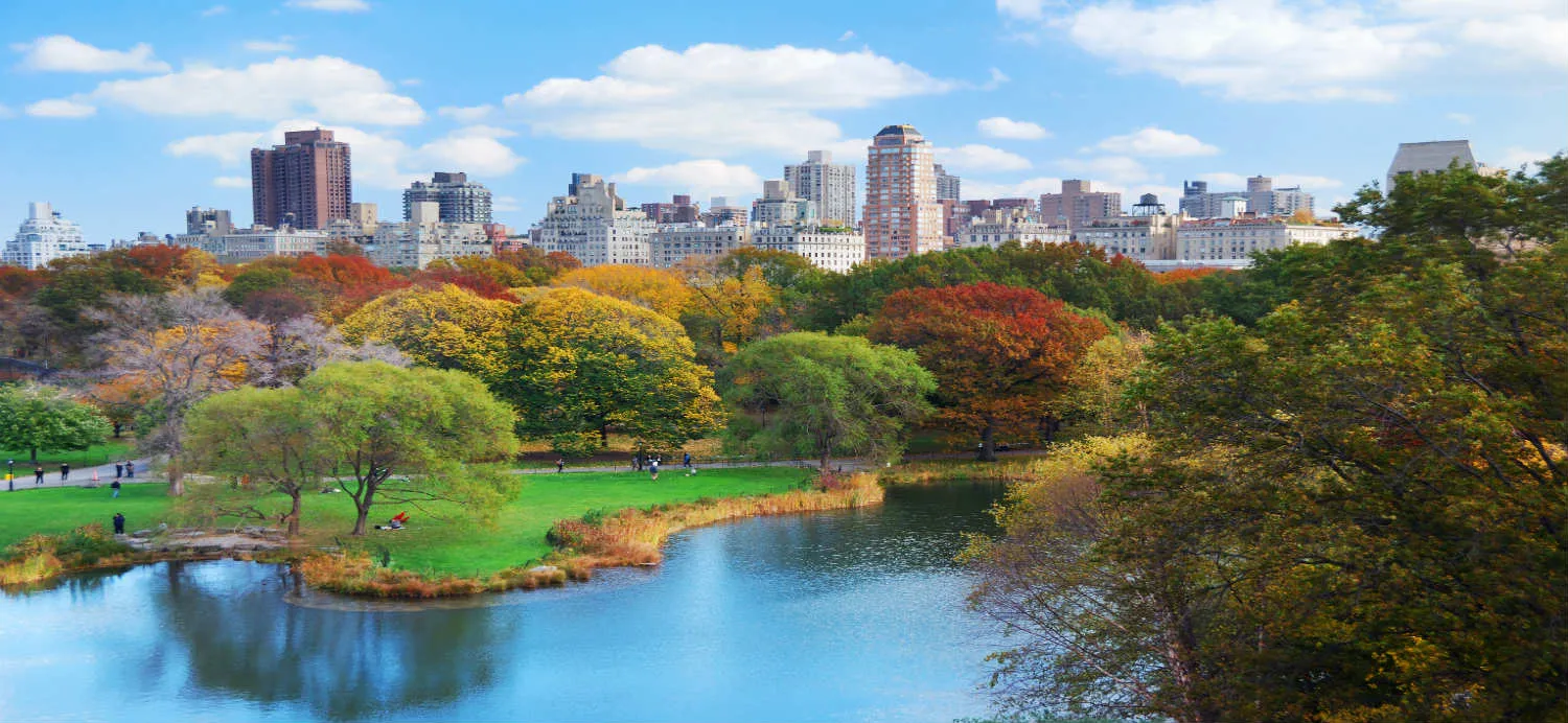 manhattan-vista-central-park-new-york.jpg