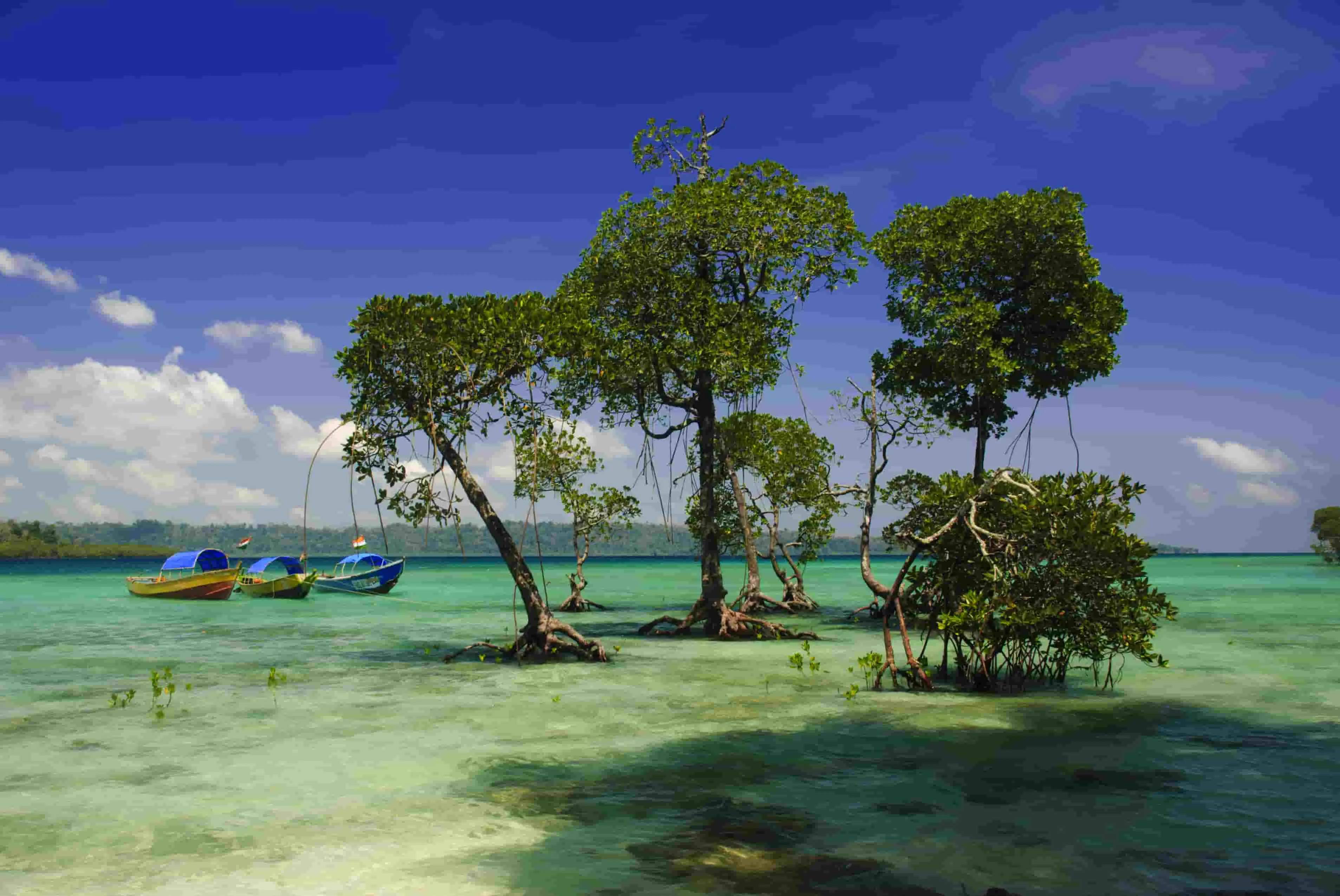 india_andamaneislands-min.jpg