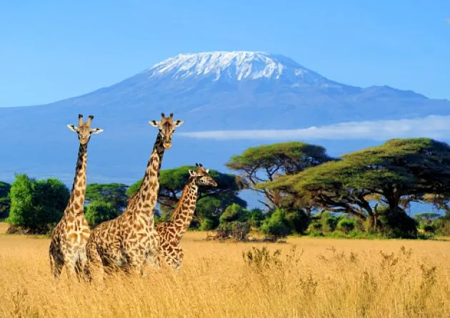 Dove andare in Africa a luglio 2024: 10 destinazioni fantastiche