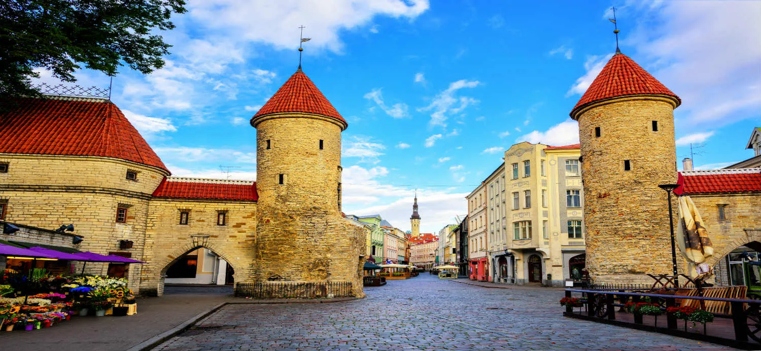 twin-towers-della-porta-di-viru-nel-centro-di-tallin-estonia.jpg