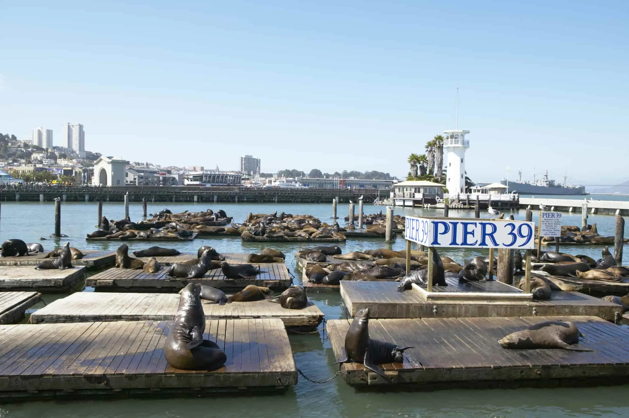 sanfrancisco_pier39-min.jpg