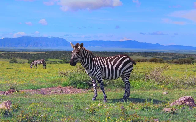 ngorongoro-parco.jpg (1)