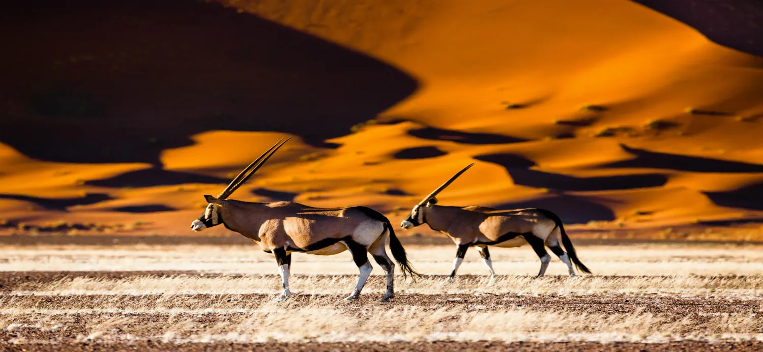 sossusvlei-namibia.jpg (1)